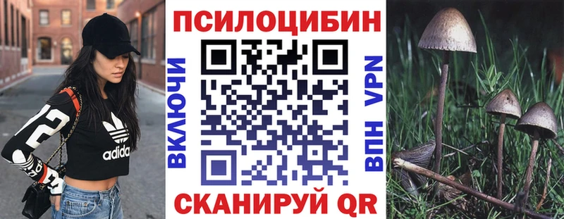 Галлюциногенные грибы мухоморы  omg сайт  Порхов  нарко площадка официальный сайт  закладка 